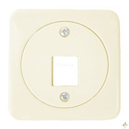 [07066] 13008405 Корпус 1-ї розетки RJ-12/RJ-45 сл./кість REGINA